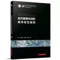 音像应对暴雨内涝的城市韧研究王峤,臧鑫宇,李含嫣,王逸轩