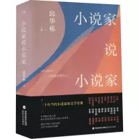 音像小说家说小说家邱华栋