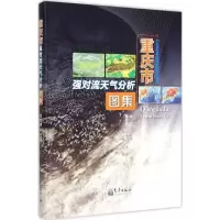 音像重庆市强对流天气分析图集张亚萍 主编