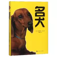音像名犬(精)(法)克里斯特尔·马泰|译者:邓毓珂