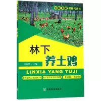 音像林下养土鸡/农家书屋促振兴丛书编者:刘华贵