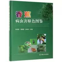 音像香蕉病虫害原色图鉴(精)编者:彭//黄秉智//彭埃天