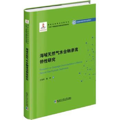 音像海域天然气水合物渗流特研究王佳琪