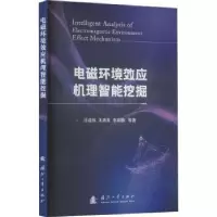音像电磁环境效应机理智能挖掘汪连栋,王满喜,廷等