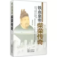 音像铁血皇帝杨新防 著