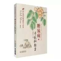 音像糖尿病秘验方魏晓露