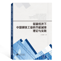 音像低碳经济下中国钢铁工业的节能减排理论与实践王晓蕾