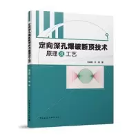 音像定向深孔爆破断顶技术原理及工艺刘志刚,万晓著
