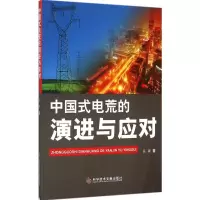 音像中国式电荒的演进与应对吴疆 著