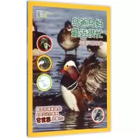 音像鸟爸鸟妈近很忙宁峰 主编