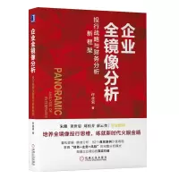 音像企业全镜像分析(投行战略与财务分析新框架)许业荣