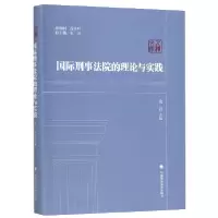 音像国际刑事法院的理论与实践/人权文库编者:凌岩|总主编:张伟