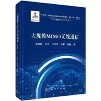 音像大规模MIMO无线通信(精)/5G关键技术与应用丛书高西奇[等]著