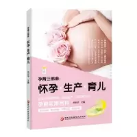 音像孕育三部曲:怀孕·生产·育儿周训华主编