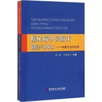 音像糖尿病中医临床路径与PRO:构建方法与应用倪青,王祥生主编