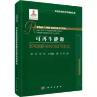 音像可能源发电集群实时与测试顾伟等著