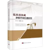 音像低渗透油藏渗吸开采机理研究郭肖,高振东著