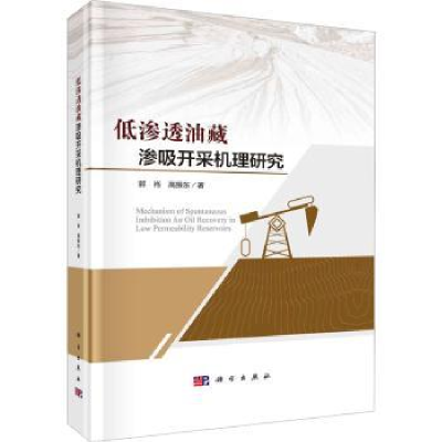 音像低渗透油藏渗吸开采机理研究郭肖,高振东著