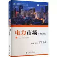 音像电力市场杜松怀主编