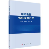 音像电磁勘探偏移成像方法王书明,底青云,王若著