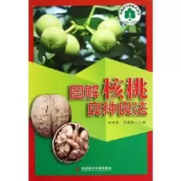 音像图解核桃良种良法郝艳宾,齐建勋主编