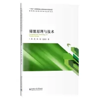 音像储能原理与技术郭韵,陈斌,张运燊著