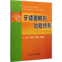 音像牙颌面畸形功能矫形赵美英,罗颂椒,陈扬熙主编