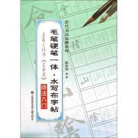 音像王羲之行书技法入门施志伟 编著