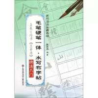 音像王羲之行书技法入门施志伟 编著