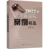 音像2022年上海法院案例精选陈昶主编