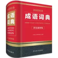 音像20000条成语词典汉语大字典编纂处 编著