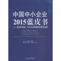 音像中国中小企业2015蓝皮书李子彬,刘迎秋 主编