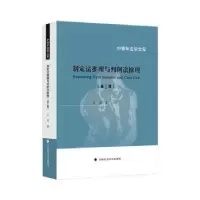 音像制定法推理与判例法推理王洪著