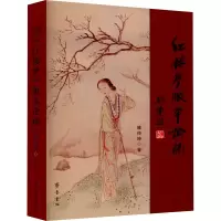 音像《红楼梦》版本论稿陈传坤