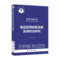 音像犯罪的新发展及其防治研究廖斌等著