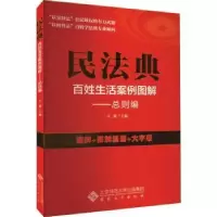 音像民法典百姓生活案例图解. 总则编王强主编