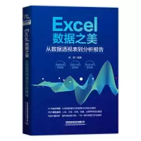 音像Excel数据之美:从数据透视表到分析报告中国