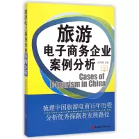 音像旅游商务企业案例分析欧海鹰