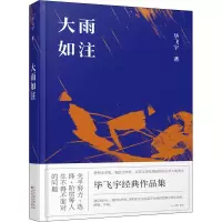 音像大雨如注飞宇