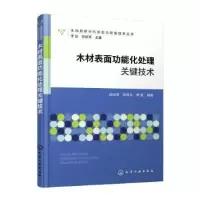 音像木材表面功能化处理关键技术战剑锋,邵霖治,傅敏编著