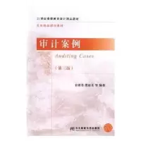 音像审计案例王砚书,董丽英等编著