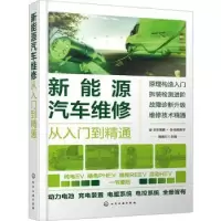 音像新能源汽车维修从入门到精通瑞佩尔主编