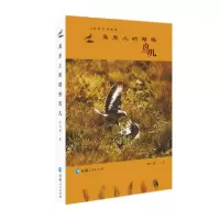 音像高原上的那些鸟儿龙仁青|责编:梁建强//王伟