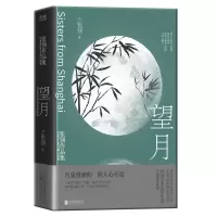 音像望月(加)张翎