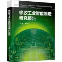 音像橡胶工业智能制造研究报告范仁德等编著