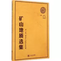 音像矿山地质选集汪贻水,彭觥,肖垂斌 主编