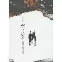 音像啊,北京徐则臣 著