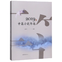 音像2019年中篇小说年选编者:孟繁华|责编:王玲玲