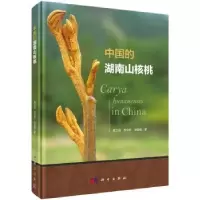 音像中国的湖南山核桃樊卫国,龙令炉,龙登楷著