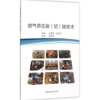 音像燃气带压接(切)线技术孔繁跃,颜丹平 主编